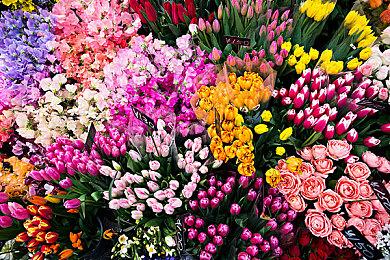 沙盒破坏游戏《拆迁》11月15日登陆PS及Xbox