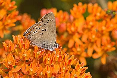 消息称育碧免费体育游戏《冠军冲刺》将被取消